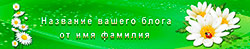 d109