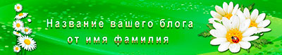 d109
